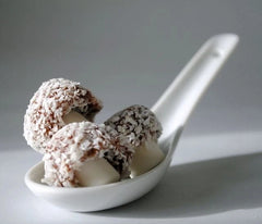 Coconut Mushroom Sweets – Chocolate & Coconut Retro Candy